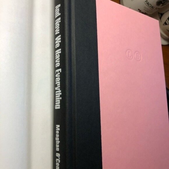 And Now We Have Everything Motherhood Memoir New Book Gift for Pregnancy - Picture 10 of 15